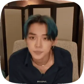 😶 DYLLPAY. whatsapp sticker