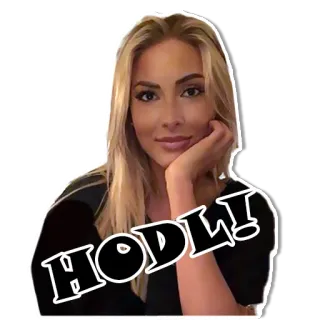 💰 HODL! krypto, hodl, inwestycja, finanse, mem telegram sticker