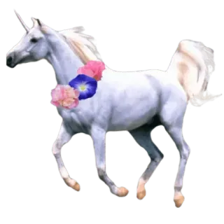 🦄 ยูนิคอร์น, ม้า, สัตว์ในตำนาน, สัตว์, ดอกไม้, แฟนตาซี telegram sticker