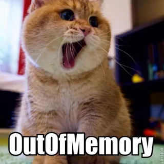 😱 OutOfMemory cat, animal, meme, outofmemory, funny, error telegram sticker