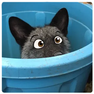 👀 fox, animal, bucket, cute, eyes telegram sticker