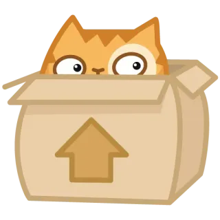 📦 кот, коробка, котёнок, животное, милый, оранжевый, питомец telegram sticker