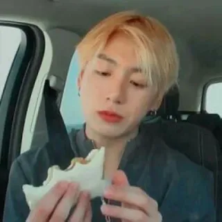 🍟 persona, mangiare, panino, capelli biondi, interno, seduto whatsapp sticker