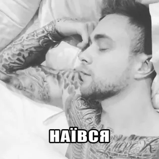😺 НАЇВСЯ telegram sticker