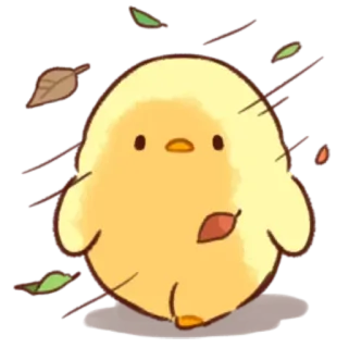 🤩 pollito, pájaro, lindo, animal, otoño, hojas whatsapp sticker