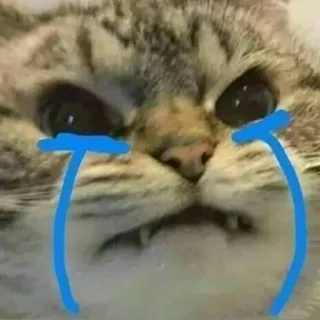😭 kucing, menangis, sedih, air mata, emoji, stiker, meme, hewan telegram sticker