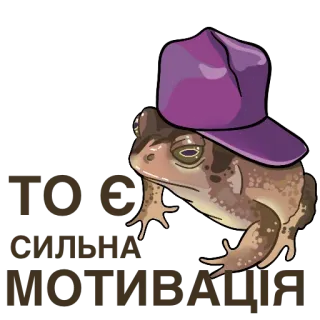 😎 ТО СИЛЬНА
МОТИВАЦІЯ frog, toad, motivation, cap, animal telegram sticker