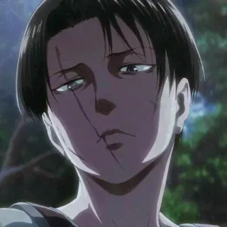 📎 Levi Ackerman Attack on Titan anime, attack on titan, levi, levi ackerman, aot, character, manga telegram sticker