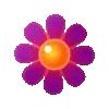 🌸
