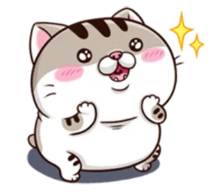 ✨ Katze, Tier, süß, Aufkleber, kawaii whatsapp sticker