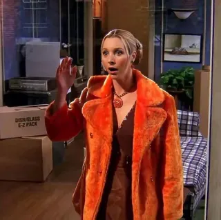 😱 Friends DISH/GLASS
E-Z PACK phoebe buffay, lisa kudrow, série télé, appartement, manteau orange, friends série whatsapp sticker