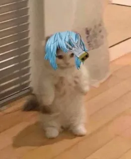 🤦 Shigaraki Tomura My Hero Academia cat, anime, Shigaraki, My Hero Academia, meme telegram sticker