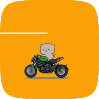 🏍 gatto, moto, veicolo, carino, cartone animato telegram sticker