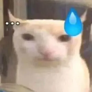 😰 Ollie the cat internet meme whatsapp sticker