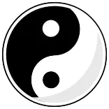 ☯️
