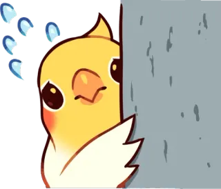 😥 鳥, 動物, 可愛い, のぞき見, 怖い, 汗 telegram sticker