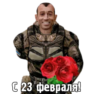 💚 С 23 февраля! róże, 23 lutego, żołnierz, wojsko, pozdrowienia telegram sticker