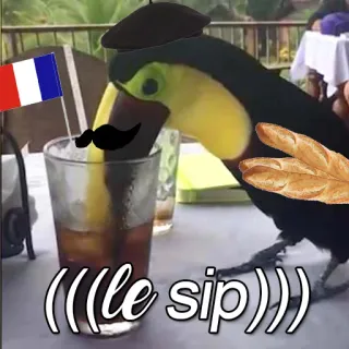 😊 (((le sip))) toucan, français, béret, baguette, mème, oiseau, France telegram sticker