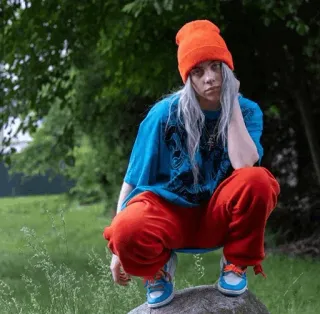 🕸 Billie Eilish Billie Eilish, Sängerin, Popstar, Musiker, Promi, Stil, Mode telegram sticker