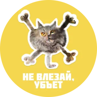😡 НЕ ВЛЕЗАЙ, УБЬЕТ gatto, divertente, sticker, mostro, russo, avviso whatsapp sticker