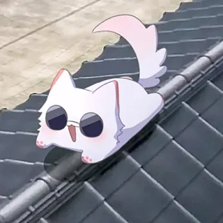 ❤️ cat, sunglasses, cool, cute, animal telegram sticker