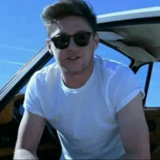 🍕 Niall Horan Niall Horan, Celebridad, Gafas de sol, One Direction, Cantante telegram sticker