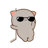 😎
