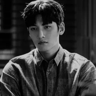 🗝 Ji Chang-wook 演员, 韩国, 男人, 肖像, 名人 telegram sticker