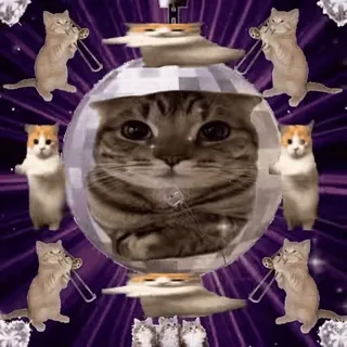 🎤 Cat whatsapp sticker