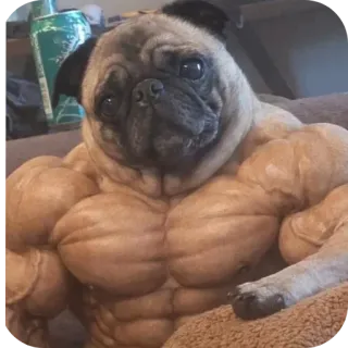 👍 pug telegram sticker