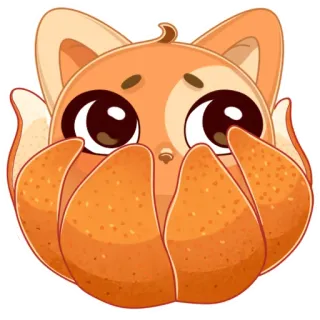🙈 mèo, mèo con, cam, trái cây, dễ thương, kawaii, động vật telegram sticker