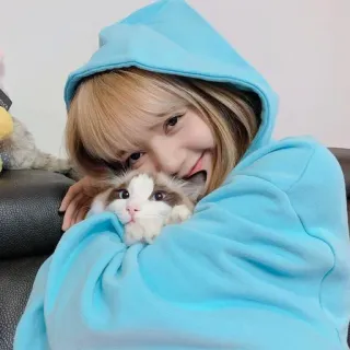 🐬 femme, chat, mignon, animal de compagnie, câlin, sweat à capuche, animal, ami telegram sticker