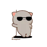 😎 кот, танцы, солнцезащитные очки, милый, мультфильм, анимация, персиковый кот telegram sticker