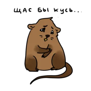 😒 berang-berang, hewan, lucu, sedih, kartun whatsapp sticker