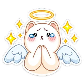😇 кот, ангел, ореол, милый, каваий, стикер, мультфильм telegram sticker