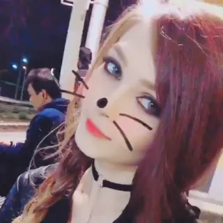 😼 femme, filtre chat, selfie, beauté, maquillage telegram sticker