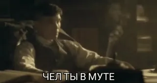 😒 ЧЕЛ ТЫ В МУТЕ telegram sticker