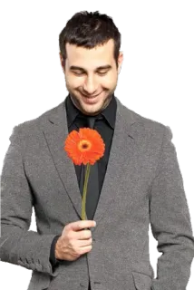 🌺 мужчина, цветок, костюм, серый, галстук, подарок telegram sticker