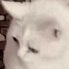 🤮