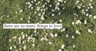 ☁️ there are so many things to love flowers, dandelions, nature, love, positivity, grass, spring telegram sticker