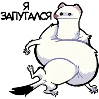 😐 Ermine Hermelin, süß, Tier, Säugetier, weiß, Cartoon telegram sticker