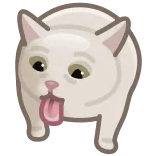 🤢 gato, meme, engraçado, animal, animal de estimação, desajeitado whatsapp sticker