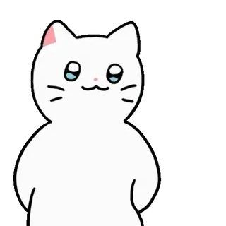 💬 gato, lindo, blanco, animal, gatito, mascota whatsapp sticker