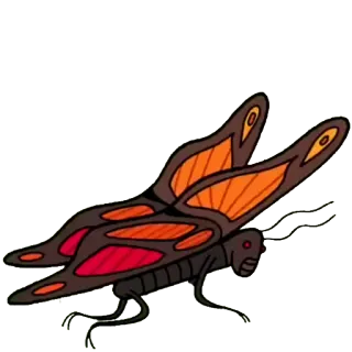 🦋 farfalla, insetto, marrone, arancione, volante telegram sticker