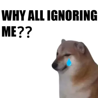 🐶 WHY ALL IGNORING ME?? doge, 밈, 슬픈, 개, 우는 telegram sticker