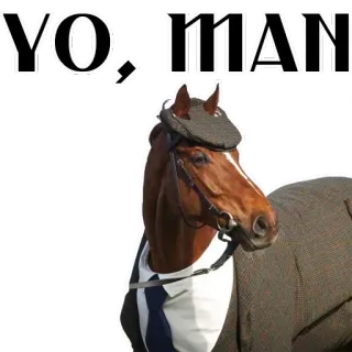Stickers With Horses @stickersb2b whatsapp stickers