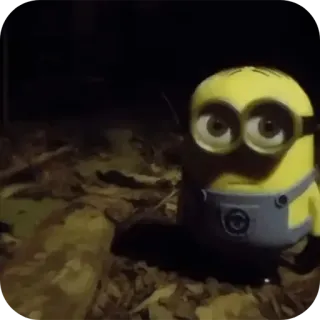 🧸 Minion minion, personnage de dessin animé, drôle, nuit, moi, moche et méchant telegram sticker
