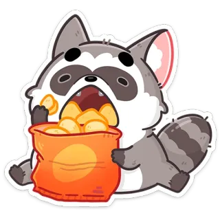 🍿 szop pracz, czipsy, jedzenie, przekąska, słodki, kreskówka, zwierzę whatsapp sticker