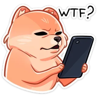 ⁉️ WTF? chó, meme, WTF, bối rối, động vật, dễ thương, tiếng lóng trên mạng, biểu cảm telegram sticker