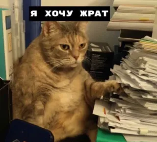 😵 Я ХОЧУ ЖРАТ telegram sticker